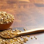 Freekeh