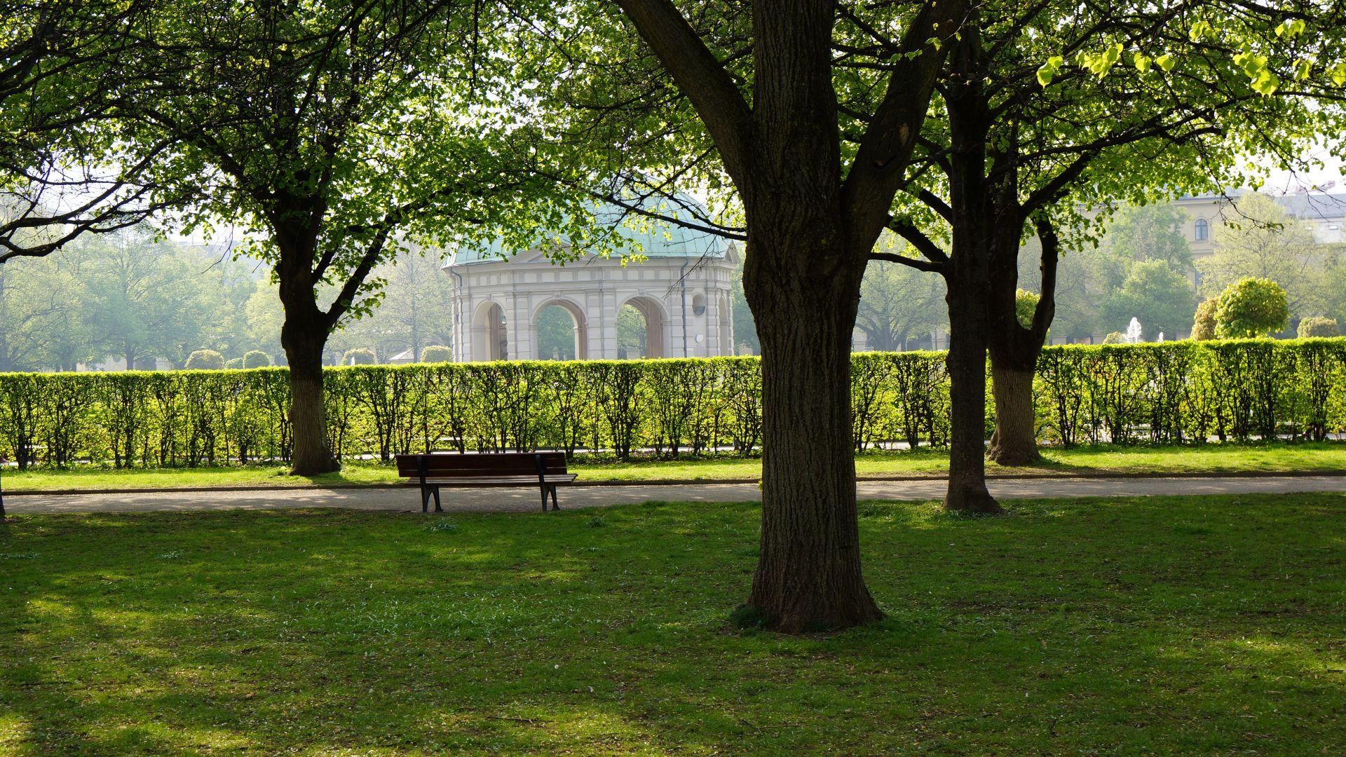 Schatten im Hofgarten Muenchen mit Blick auf Pavillon hinter Baeumen